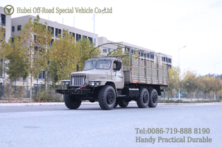 东风 Tiptop 经典全轮 驱动方式 越野卡车_带顶篷杆出口货运卡车