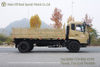 东风平头驾驶室带卧铺4x2越野货运卡车_后双轮越野运输车