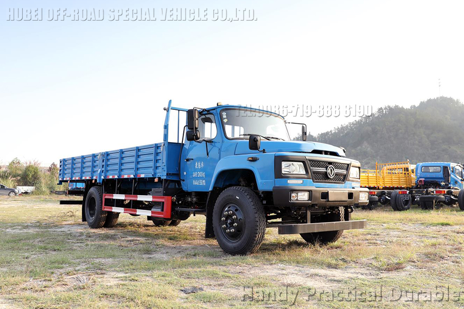 宝丽来教练车yy封面